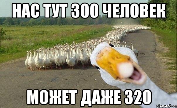 Нас тут 300 человек Может даже 320, Мем гуси