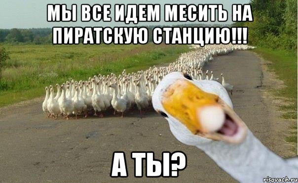 мы все идем месить на пиратскую станцию!!! а ты?, Мем гуси