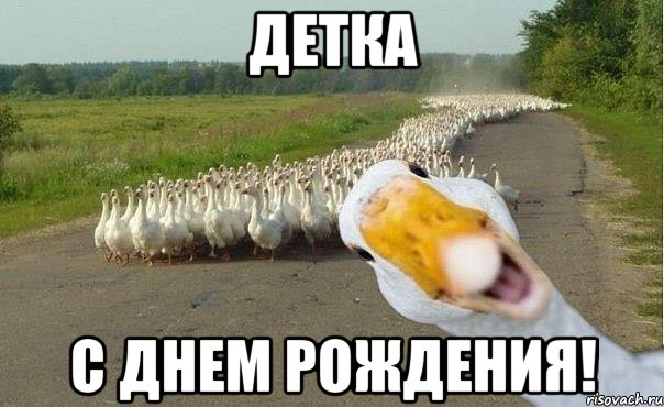 ДЕТКА С Днем Рождения!, Мем гуси