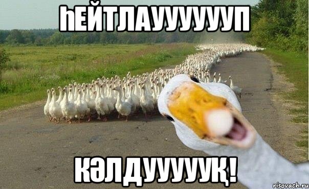 һейтлаууууууп Кәлдуууууқ!, Мем гуси