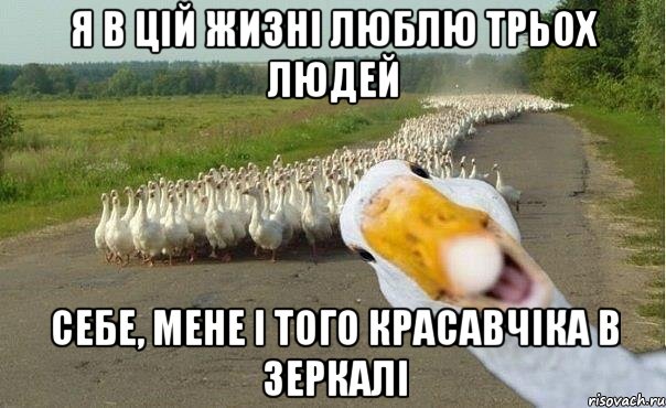 Я в цій жизні люблю трьох людей себе, мене і того красавчіка в зеркалі, Мем гуси