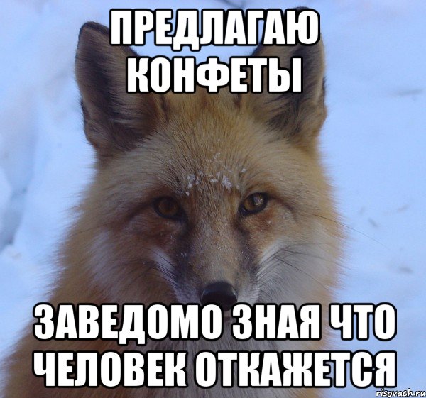предлагаю конфеты заведомо зная что человек откажется