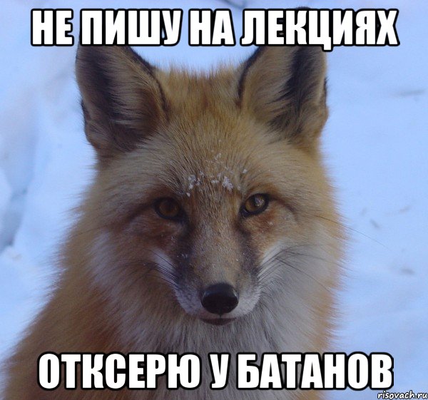 не пишу на лекциях отксерю у батанов