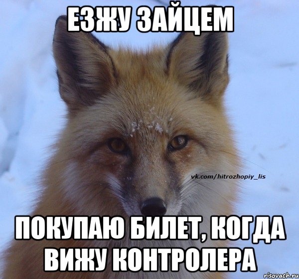 Езжу зайцем покупаю билет, когда вижу контролера
