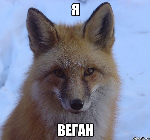я веган