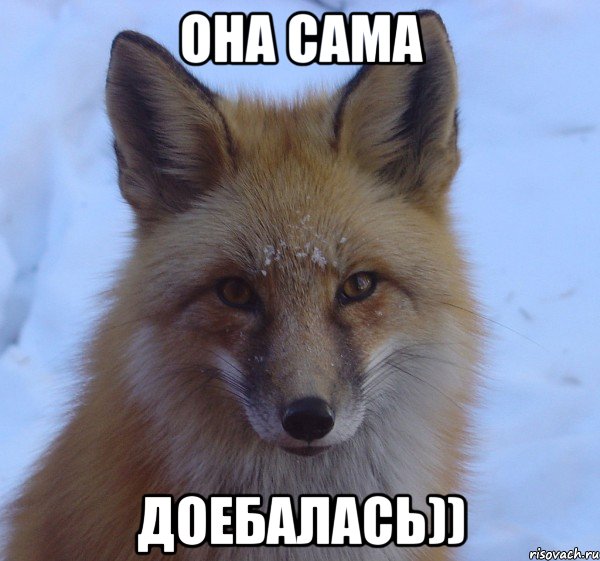 она сама доебалась))