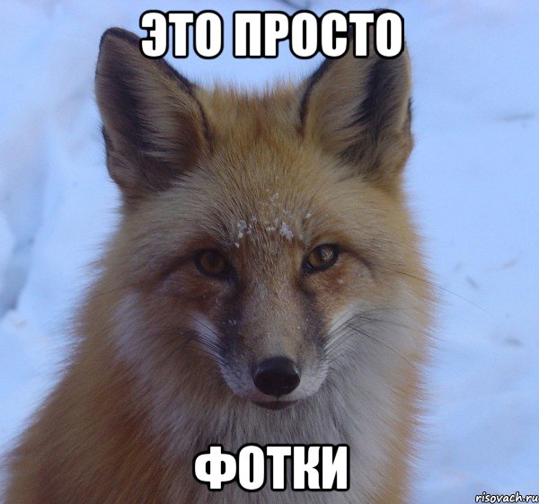 это просто фотки