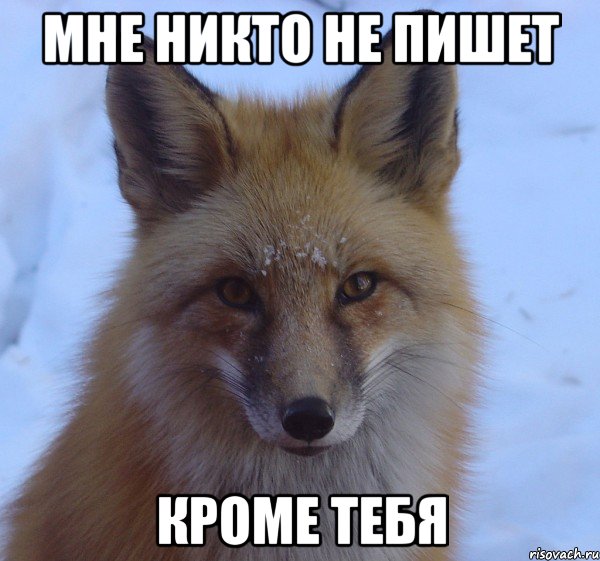 мне никто не пишет кроме тебя