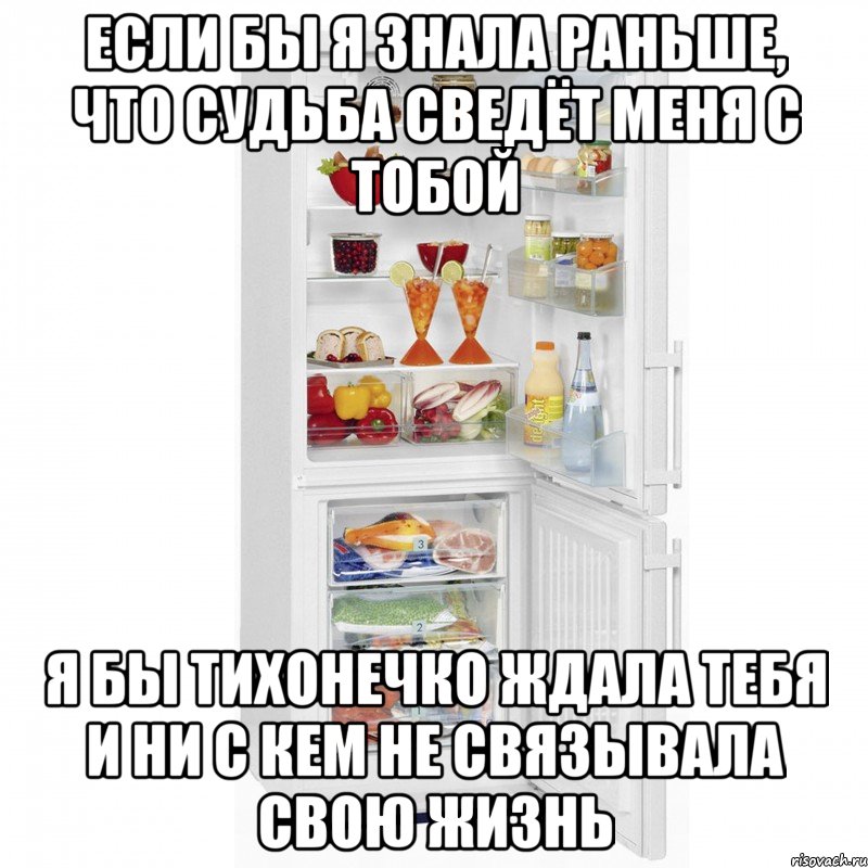 если бы я знала раньше, что судьба сведёт меня с тобой я бы тихонечко ждала тебя и ни с кем не связывала свою жизнь