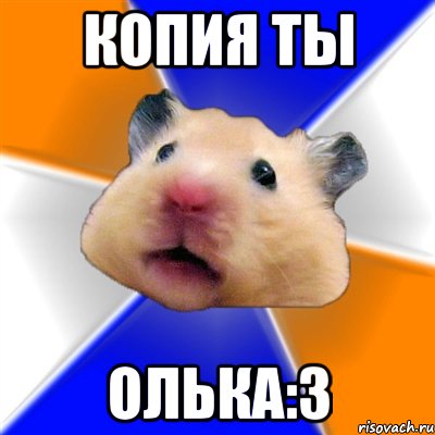 Копия ты Олька:3, Мем Хомяк