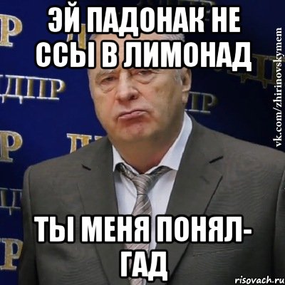 эй падонак не ссы в лимонад ты меня понял- ГАД, Мем Хватит это терпеть (Жириновский)