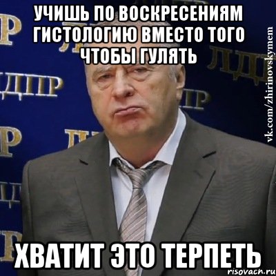 учишь по воскресениям гистологию вместо того чтобы гулять хватит это терпеть, Мем Хватит это терпеть (Жириновский)