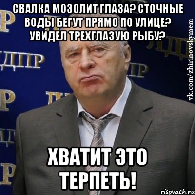 Свалка мозолит глаза? Сточные воды бегут прямо по улице? Увидел трехглазую рыбу? Хватит это терпеть!, Мем Хватит это терпеть (Жириновский)