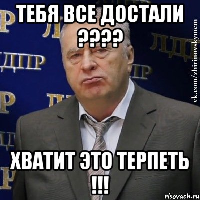 Тебя все достали ???? Хватит это терпеть !!!, Мем Хватит это терпеть (Жириновский)