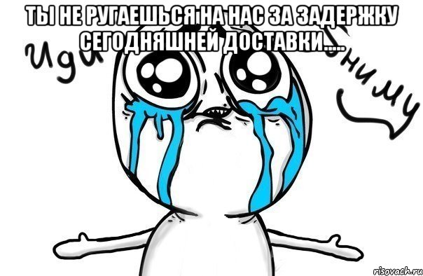 Ты не ругаешься на нас за задержку сегодняшней доставки..... , Мем Иди обниму