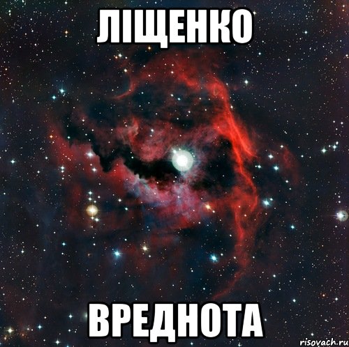 ЛІЩЕНКО ВРЕДНОТА, Мем  иметь старшего брата офигенно