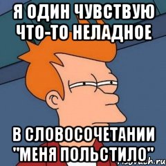 я один чувствую что-то неладное в словосочетании "меня польстило"