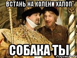 встань на колени халоп собака ты