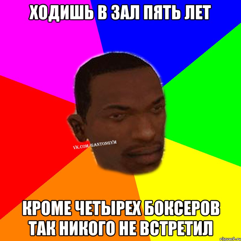 Ходишь в зал пять лет кроме четырех боксеров так никого не встретил