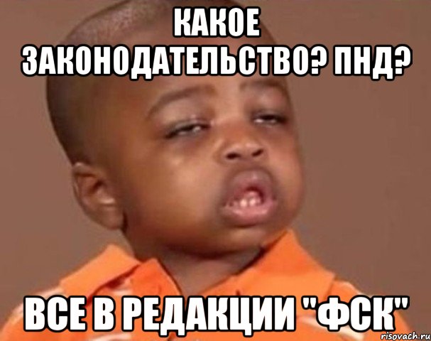 КАКОЕ ЗАКОНОДАТЕЛЬСТВО? ПНД? ВСЕ В РЕДАКЦИИ "ФСК", Мем  Какой пацан (негритенок)