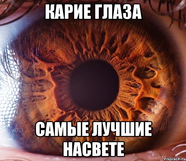 Карие глаза Самые лучшие насвете