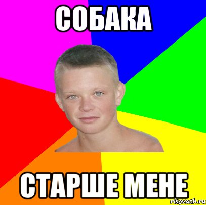 собака старше мене