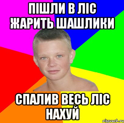 пішли в ліс жарить шашлики спалив весь ліс нахуй