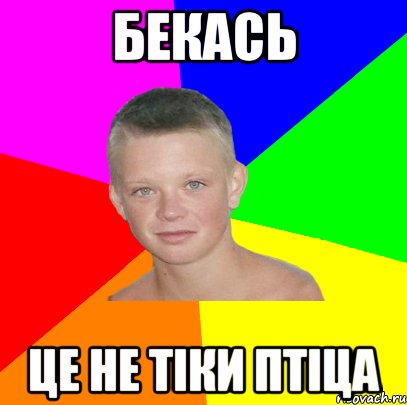 бекась це не тіки птіца