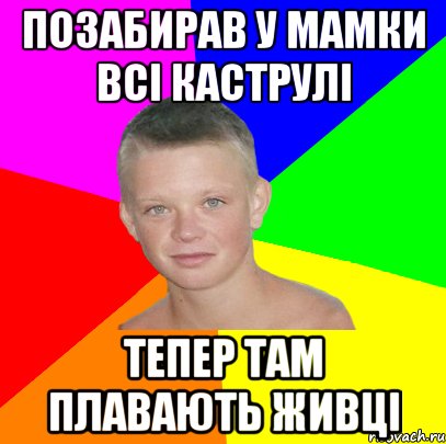позабирав у мамки всі каструлі тепер там плавають живці