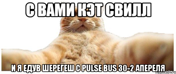 с вами кэт свилл и я едув шерегеш с pulse bus 30-2 апереля, Мем   Кэтсвилл