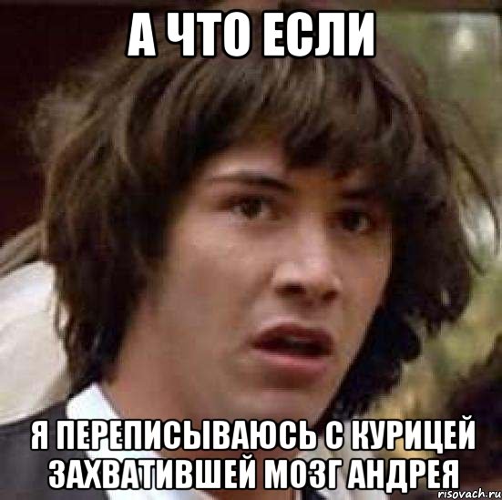 А что если я переписываюсь с курицей захватившей мозг Андрея, Мем А что если (Киану Ривз)