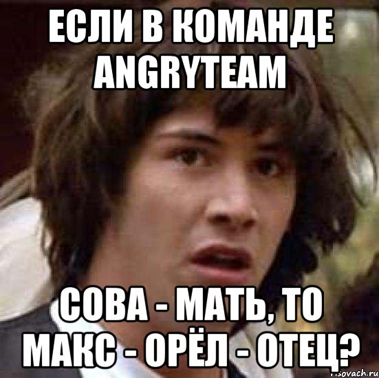 Если в команде AngryTeam Сова - Мать, то Макс - Орёл - отец?, Мем А что если (Киану Ривз)