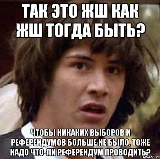 Так это жш как жш тогда быть? Чтобы никаких выборов и референдумов больше не было, тоже надо что-ли референдум проводить?, Мем А что если (Киану Ривз)