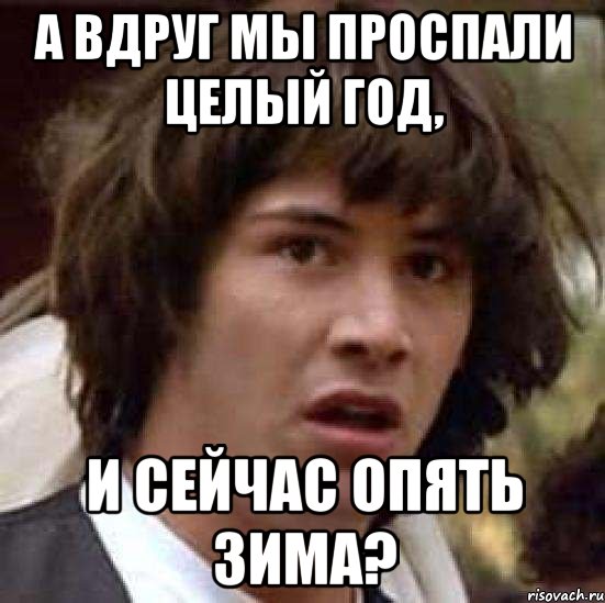 А вдруг мы проспали целый год, И сейчас опять зима?, Мем А что если (Киану Ривз)