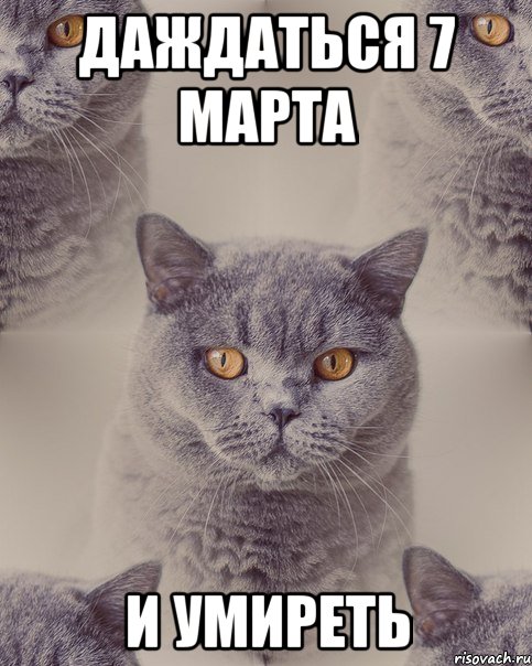 Даждаться 7 марта И умиреть