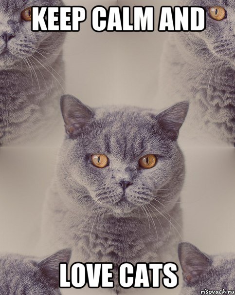 Keep Calm and Love Cats
