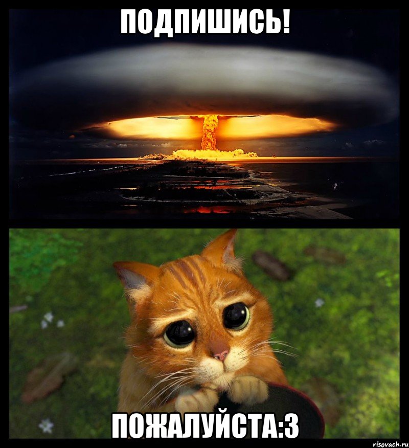 Подпишись! Пожалуйста:3, Мем коллаж