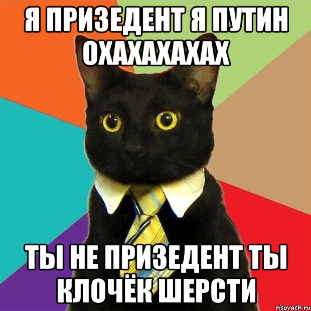 я призедент я путин охахахахах ты не призедент ты клочёк шерсти, Мем  Кошечка