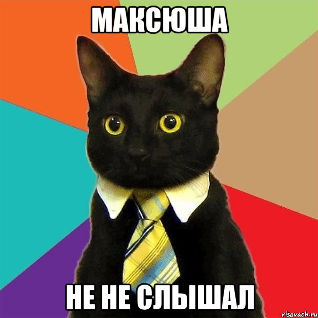 Максюша Не не слышал, Мем  Кошечка