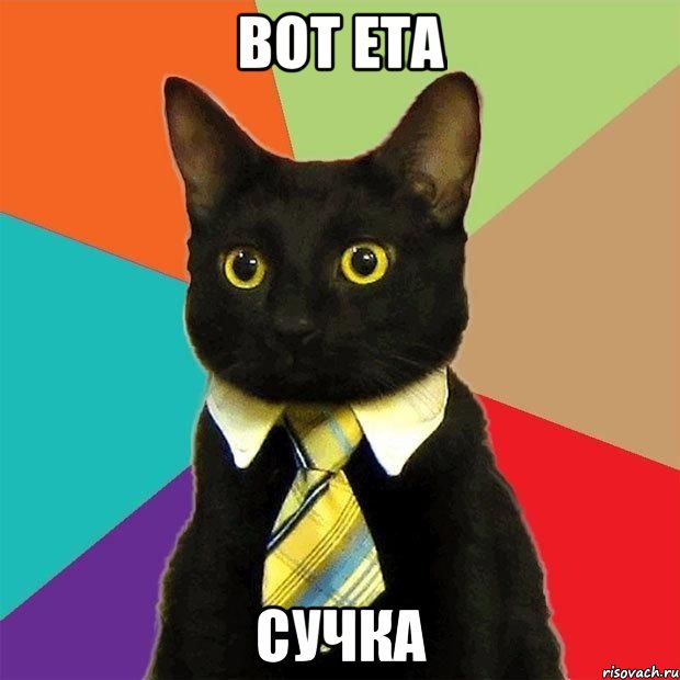 Вот ета Сучка, Мем  Кошечка