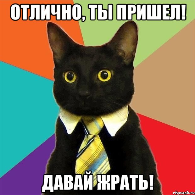 Отлично, ты пришел! давай жрать!, Мем  Кошечка