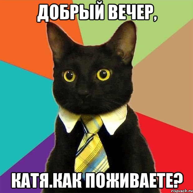 добрый вечер, катя.как поживаете?, Мем  Кошечка