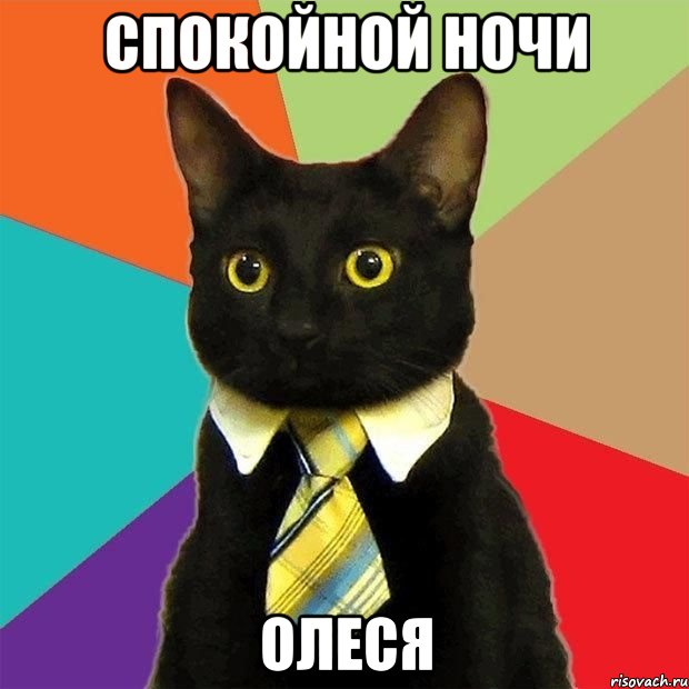 Спокойной ночи Олеся, Мем  Кошечка
