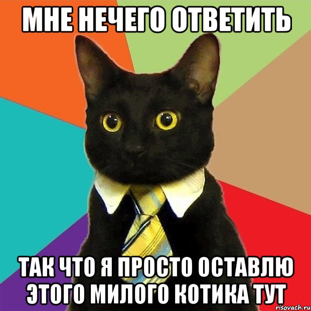 Мне нечего ответить Так что я просто оставлю этого милого котика тут, Мем  Кошечка