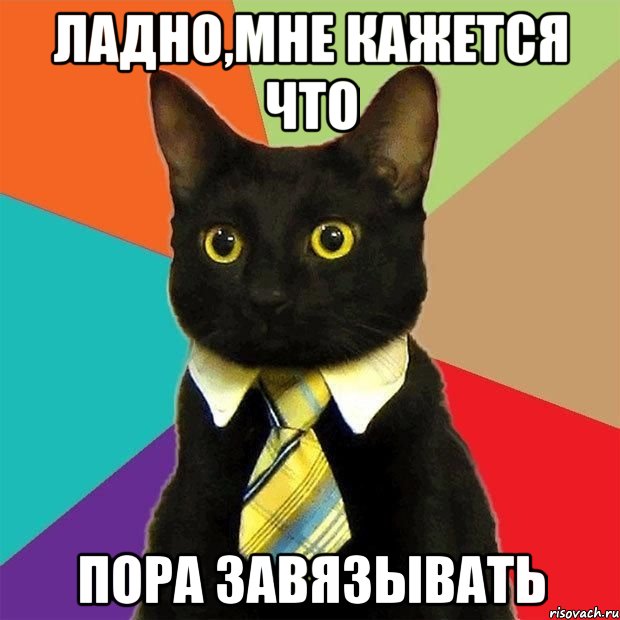 ладно,мне кажется что пора завязывать, Мем  Кошечка