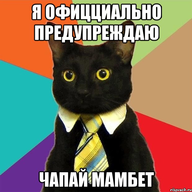 Я офицциально Предупреждаю Чапай Мамбет, Мем  Кошечка
