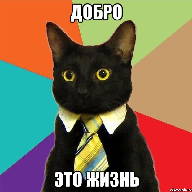 Добро Это жизнь, Мем  Кошечка