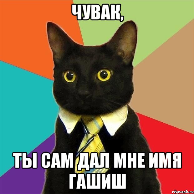 чувак, ты сам дал мне имя гашиш, Мем  Кошечка