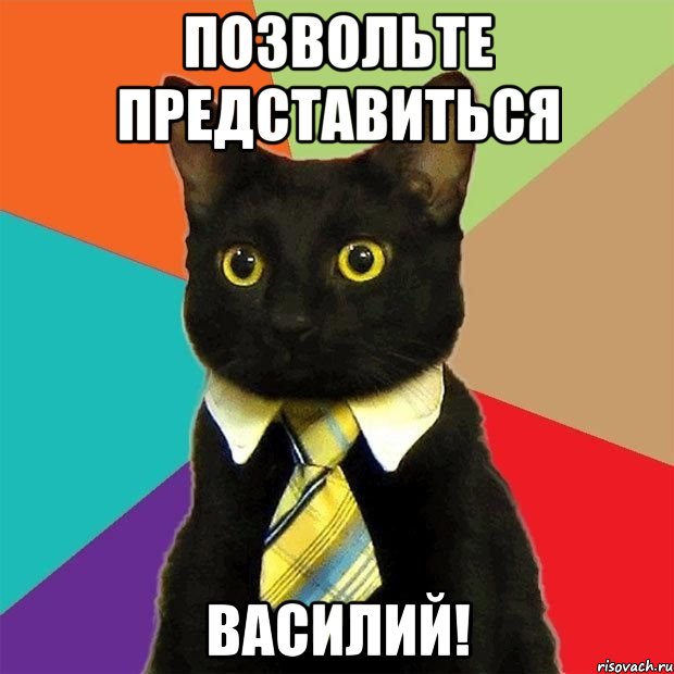 позвольте представиться василий!, Мем  Кошечка