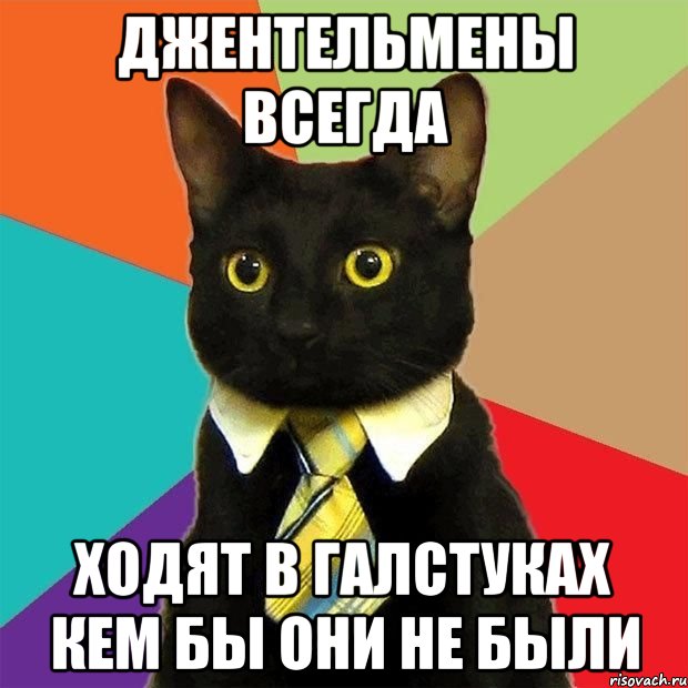 Джентельмены всегда Ходят в галстуках кем бы они не были, Мем  Кошечка